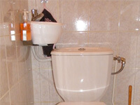 Petit lave-mains pour toilettes gain de place WiCi Mini - Monsieur L (14) - 1 sur 2